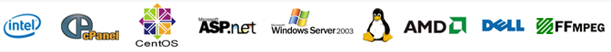 hosting ni services